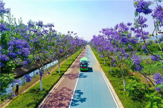 云南旅游,云南旅行社,云南团建公司,云南策划公司,云南会议会展,红河旅游,红河旅行社,红河团建公司,红河策划公司,红河会议会展：初夏的红河，绝美！