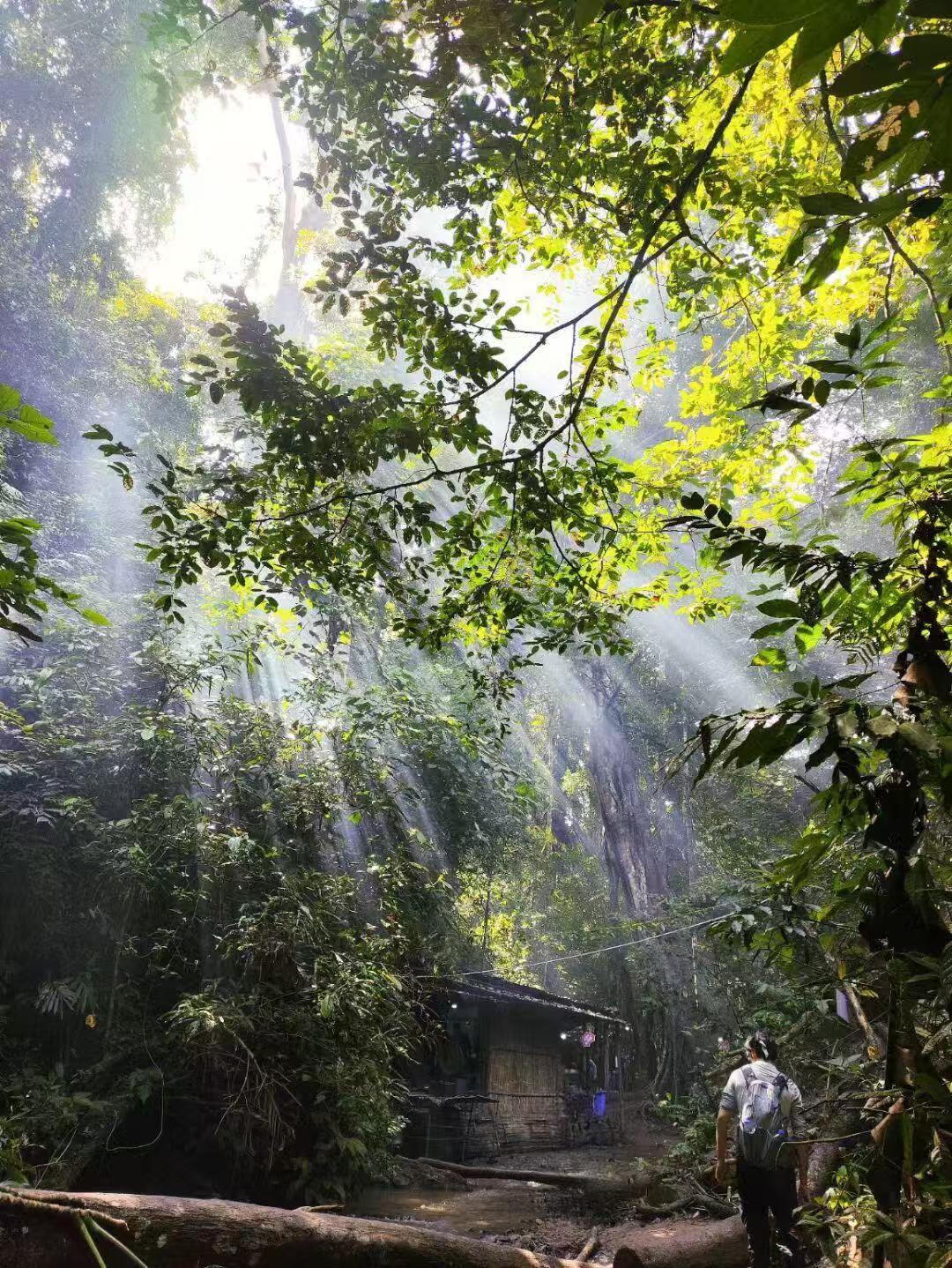 云南旅游,云南团建公司,云南策划公司,云南会议会展,云南策划执行,西双版纳团建公司,西双版纳策划公司：版纳团建终极指南！雨林探险 + 佛寺趣玩 + 傣魅盛宴，解锁 N 种快乐