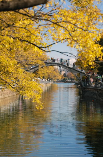 云南策划公司,昆明旅游,昆明旅行社,昆明团建公司,昆明会议会展：跟着赛事游昆明｜冬日顶配浪漫！在西山，与海鸥邂逅一场足球赛~