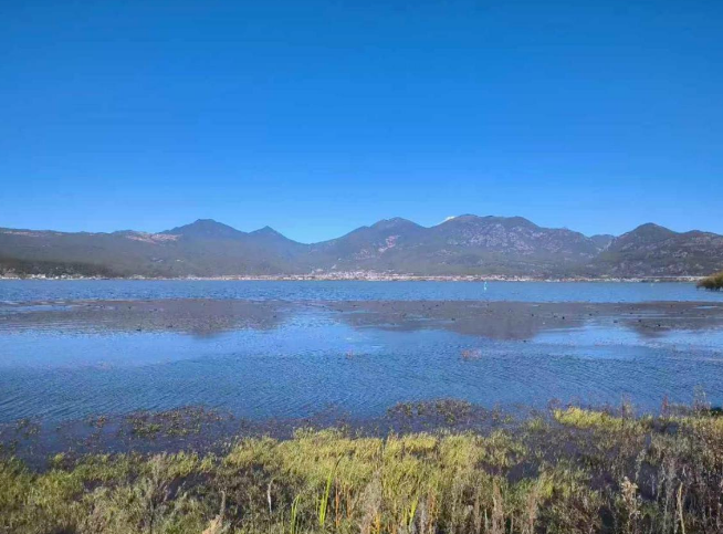 云南旅游,云南旅行社,云南团建公司,云南策划公司,云南会议会展,丽江旅游,丽江旅行社,丽江团建公司,丽江策划公司：丽江拉市海自然保护区迎来越冬候鸟 收藏这份基础观鸟指南